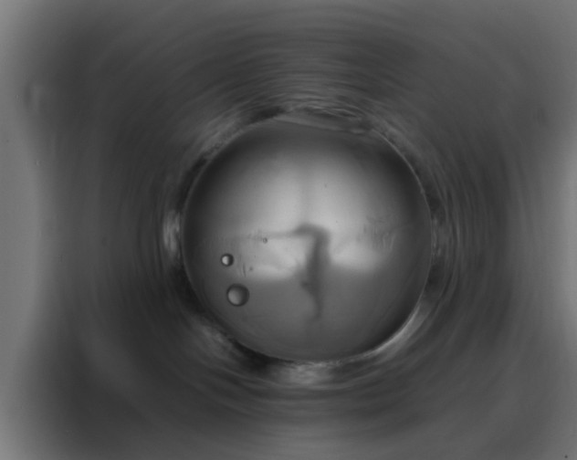 X0000088210094200705221752