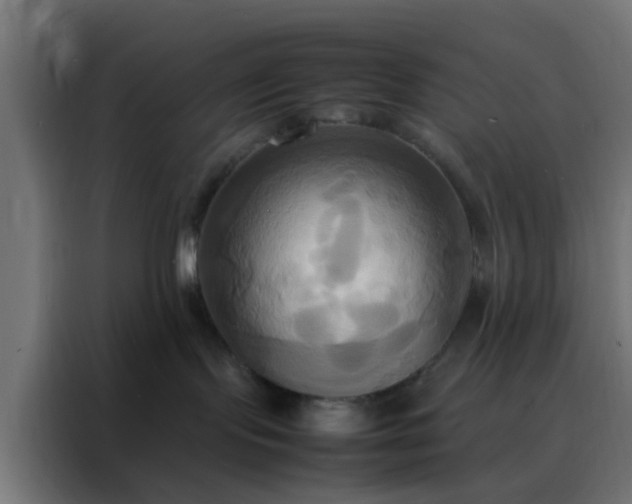X0000088210095200705221752