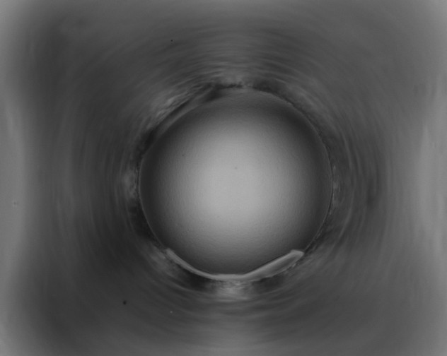 X0000088210096200705221752