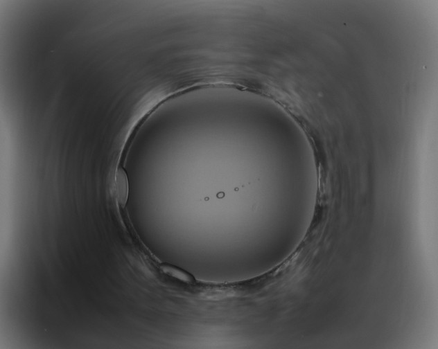 X0000088210099200705221751
