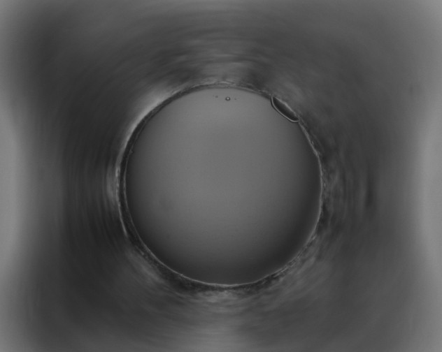 X0000088210100200705221751