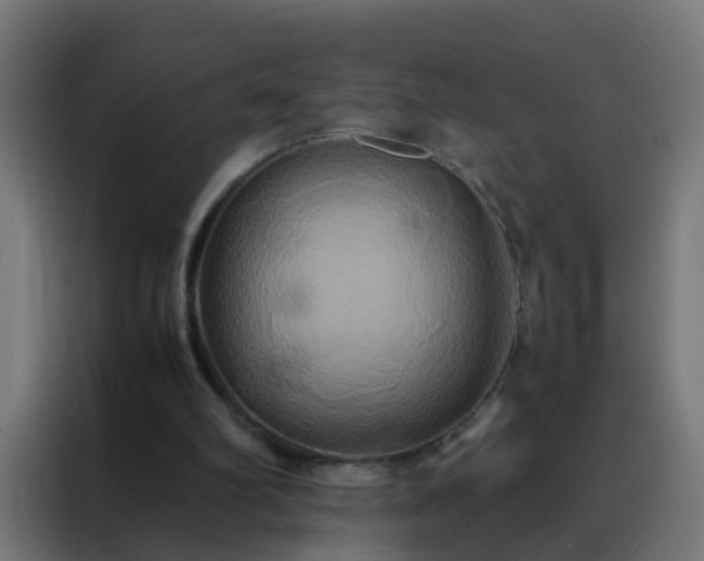X0000088210102200705221751