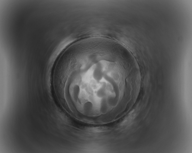 X0000088210103200705221751