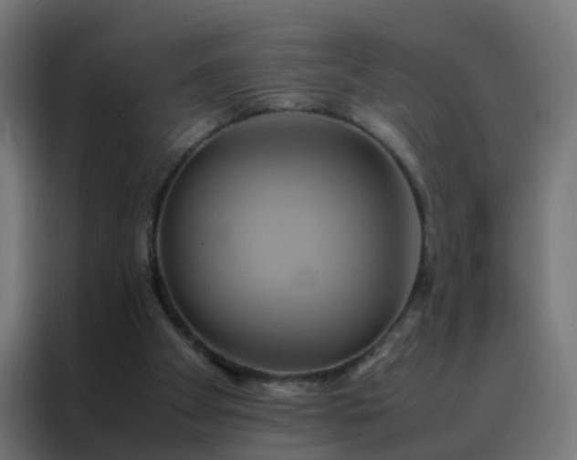 X0000088210105200705221751
