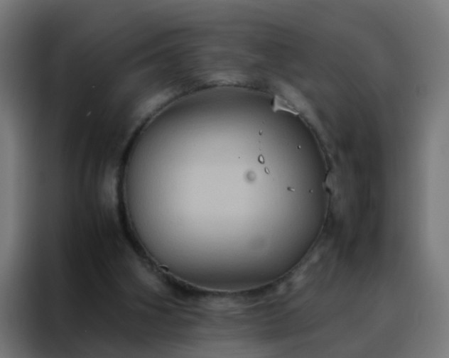 X0000088210106200705221751