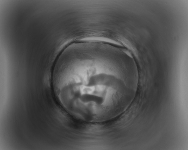 X0000088210107200705221751