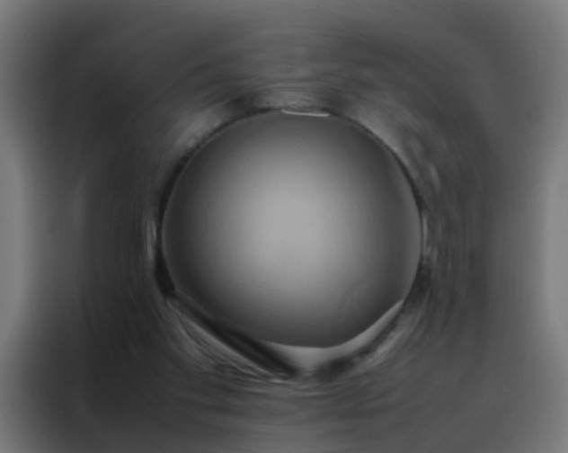 X0000088210109200705221751