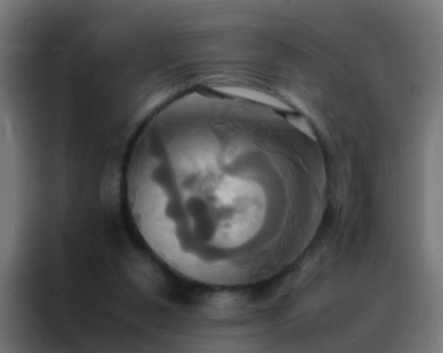 X0000088210111200705221751