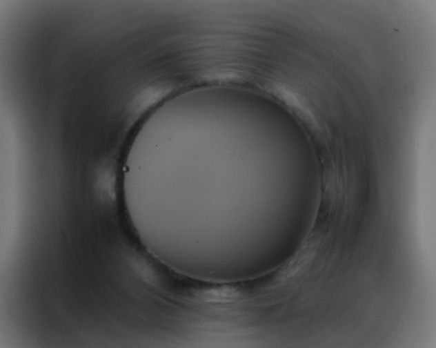 X0000088210112200705221751