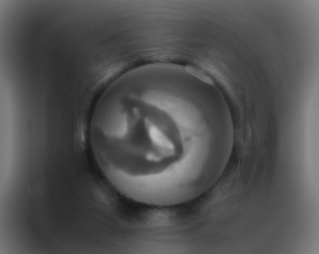 X0000088210115200705221751
