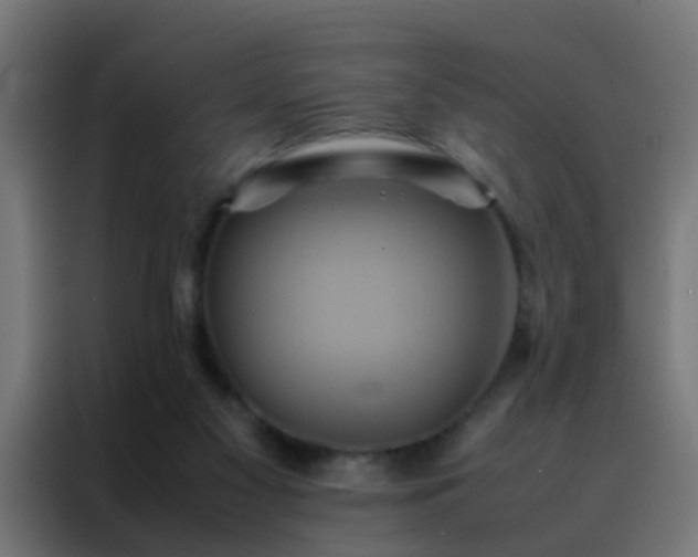 X0000088210117200705221751