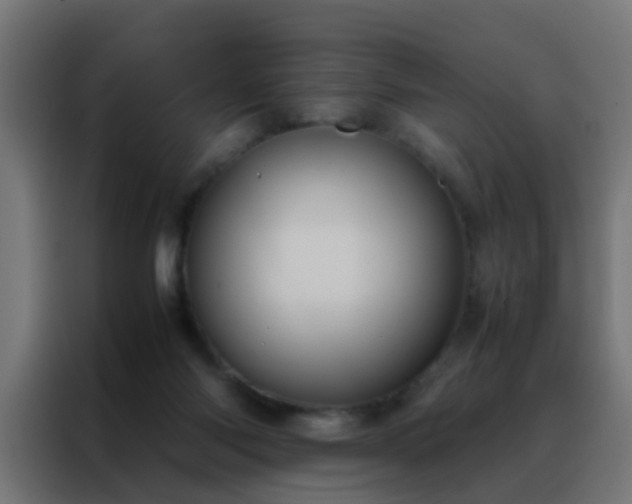 X0000088210118200705221751
