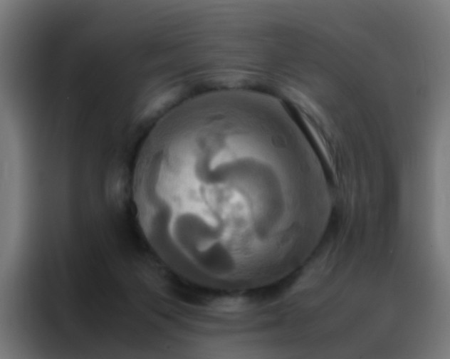 X0000088210119200705221751