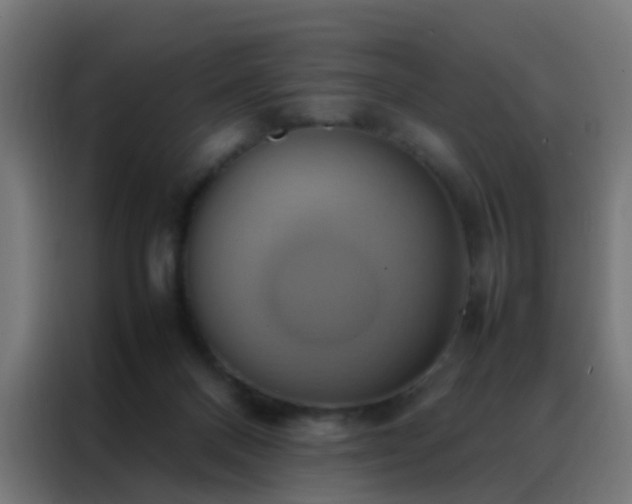 X0000088210120200705221751