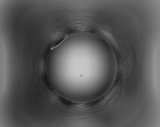 X0000088210121200705221751
