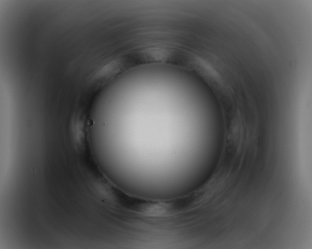 X0000088210122200705221751