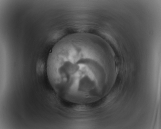 X0000088210123200705221751