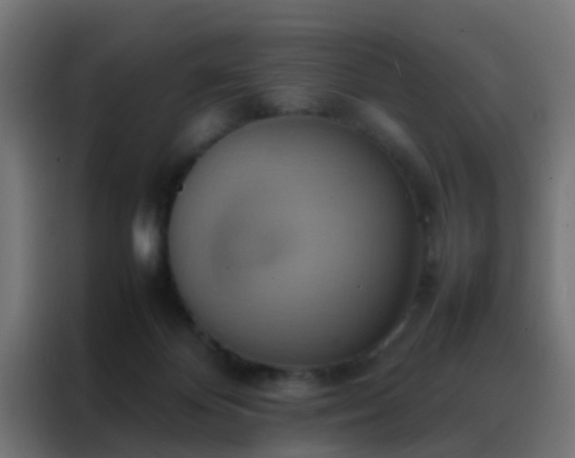 X0000088210124200705221751