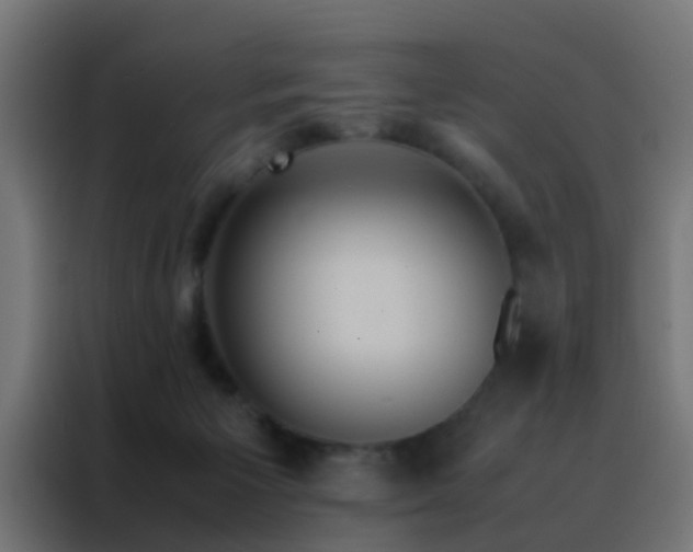 X0000088210125200705221751