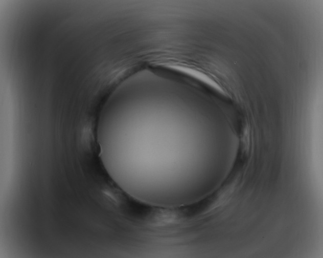 X0000088210127200705221751