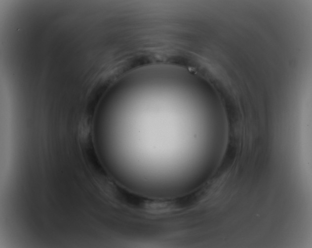 X0000088210129200705221751