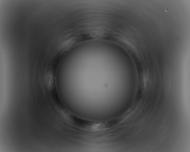 X0000088210130200705221751