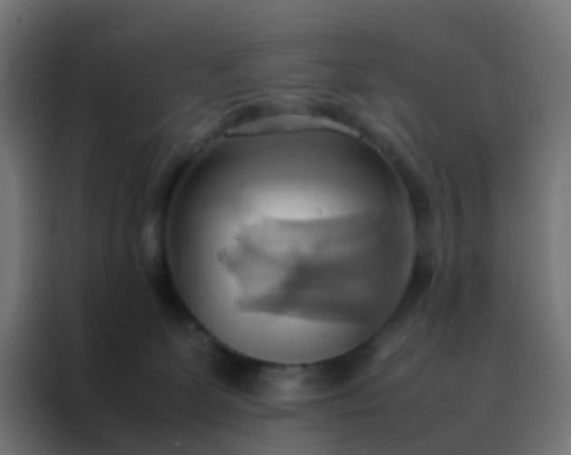 X0000088210131200705221751