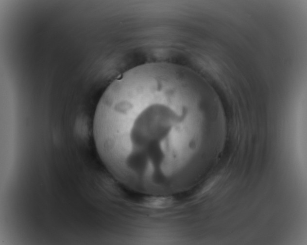 X0000088210135200705221751
