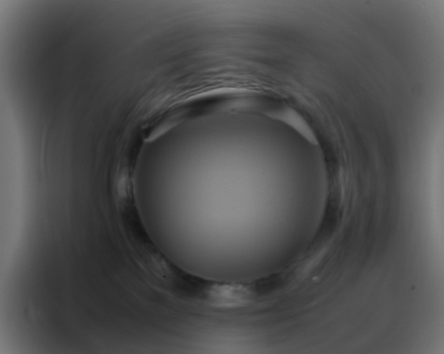 X0000088210137200705221751