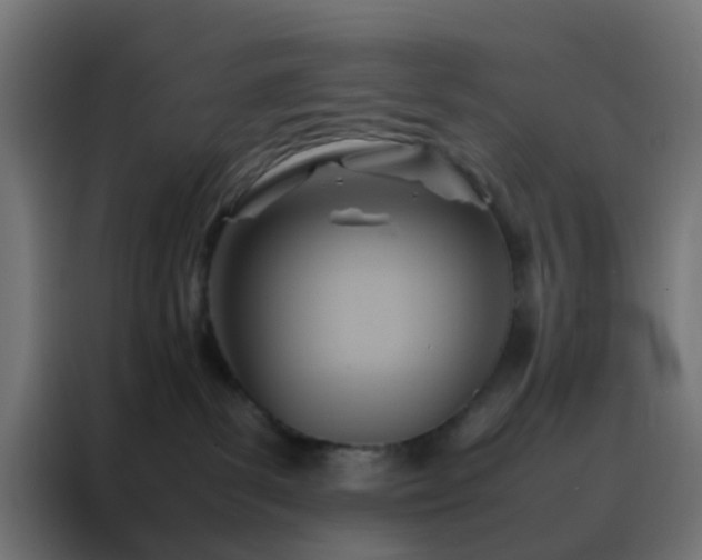 X0000088210139200705221751