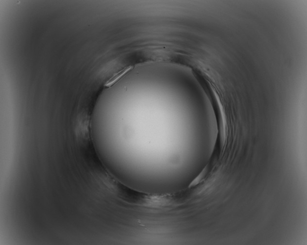X0000088210141200705221751