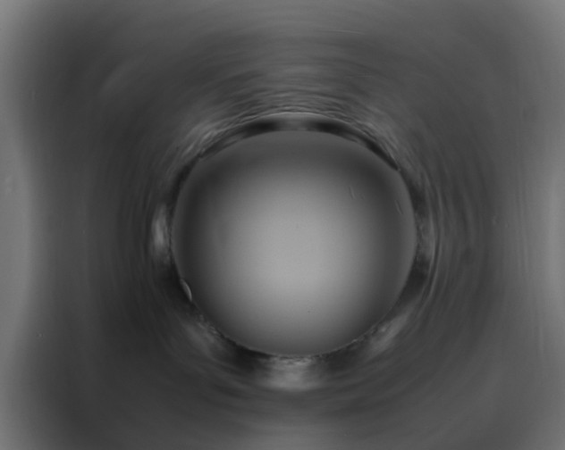 X0000088210143200705221751