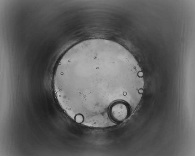 X0000088210146200705221750