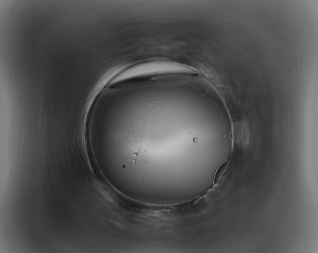 X0000088210147200705221750