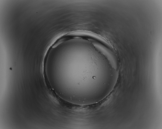 X0000088210148200705221750