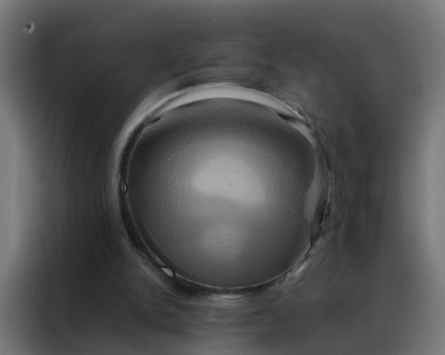 X0000088210150200705221750