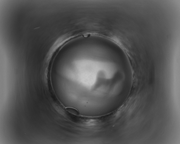 X0000088210151200705221750