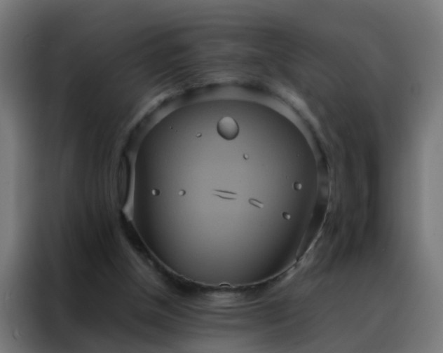X0000088210154200705221750