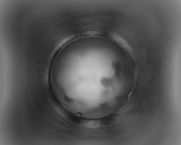 X0000088210155200705221750