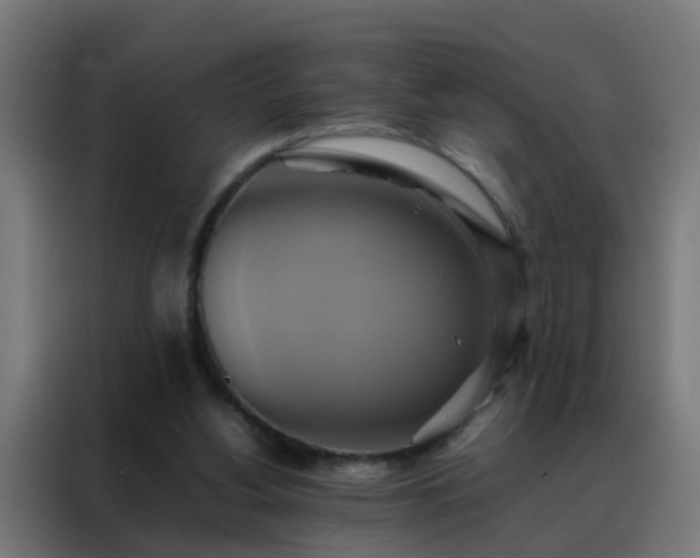 X0000088210156200705221750