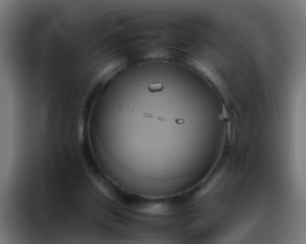 X0000088210157200705221750