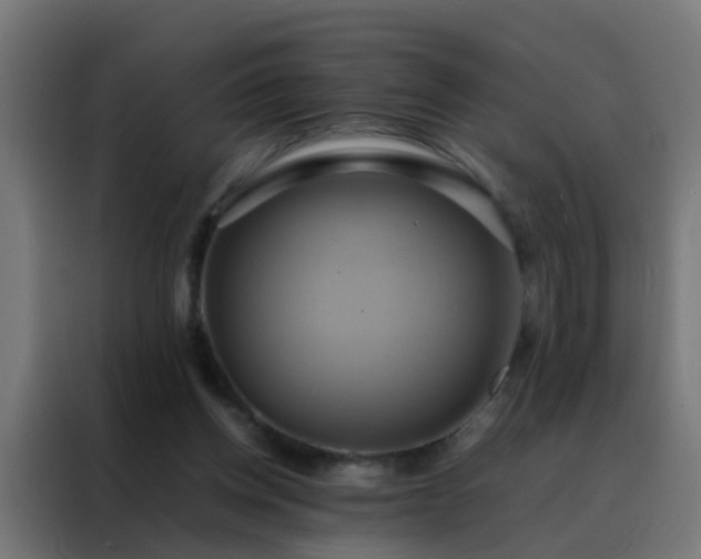 X0000088210158200705221750