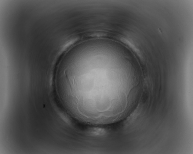 X0000088210159200705221750