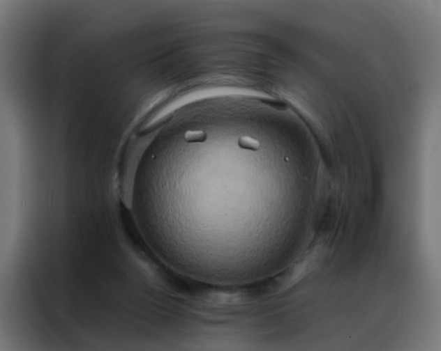 X0000088210160200705221750