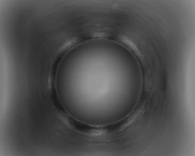 X0000088210161200705221750
