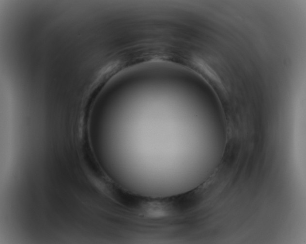 X0000088210163200705221750