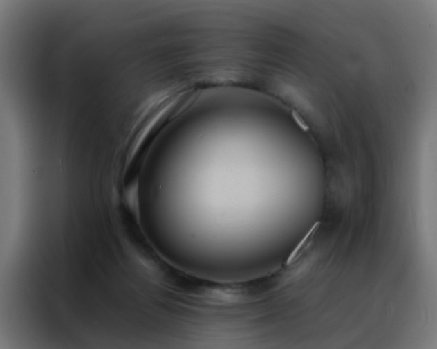 X0000088210164200705221750