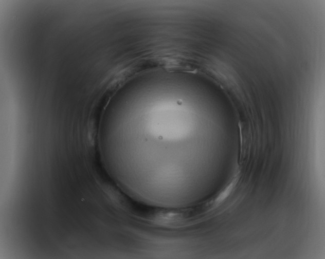 X0000088210174200705221751