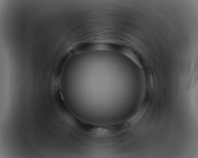 X0000088210180200705221751