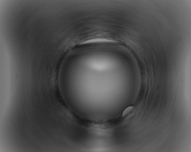 X0000088210181200705221751